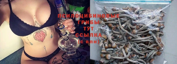 соль курить ск Аркадак
