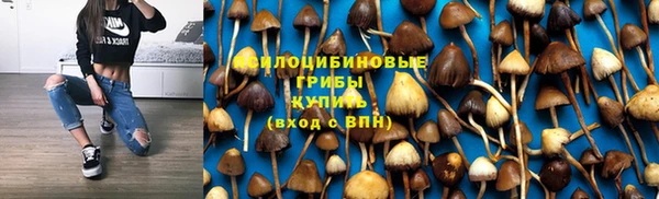 соль курить ск Аркадак