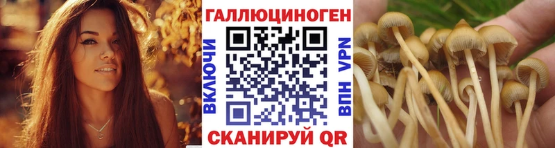 сайты даркнета официальный сайт  Мамоново  Псилоцибиновые грибы Psilocybine cubensis  kraken маркетплейс 
